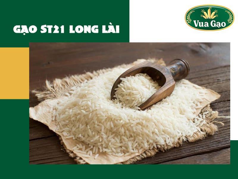 gao-st21-long-lai-rvt