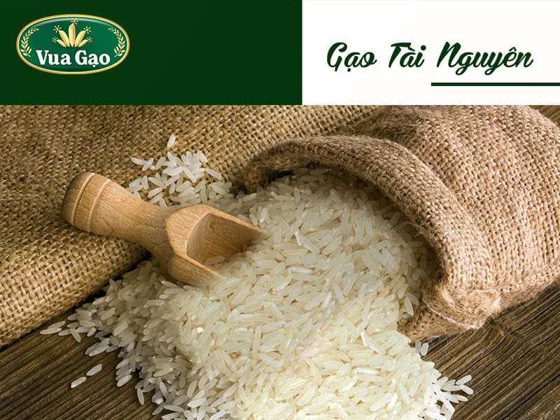gao-tai-nguyen