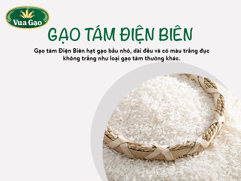 gao-tam-dien-bien