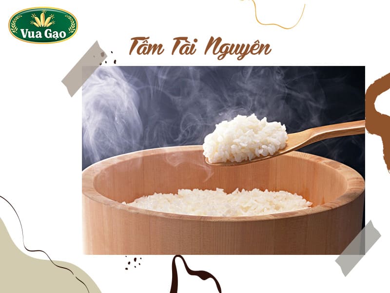 gao-tam-tai-nguyen