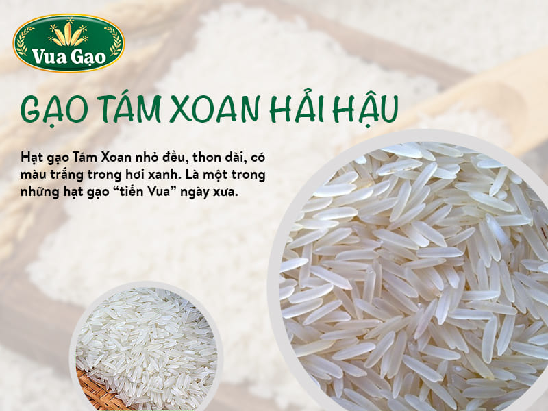 gao-tam-xoan-hai-hau