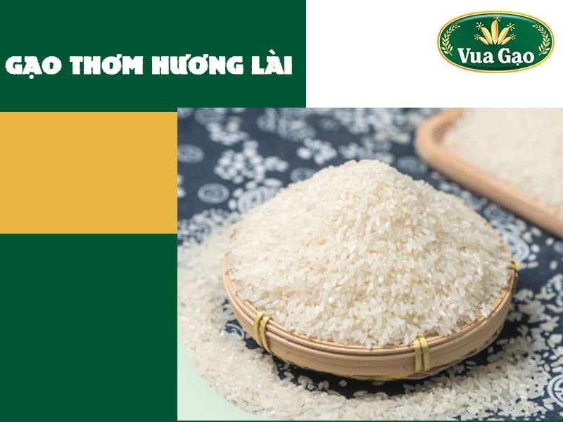 gao-thom-huong-lai