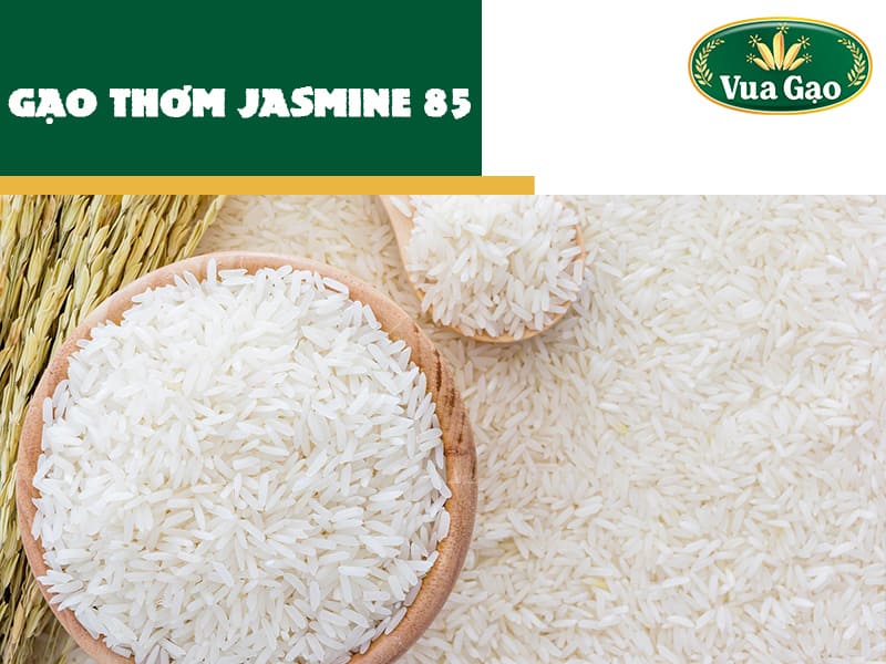 gao-thom-jasmine-85