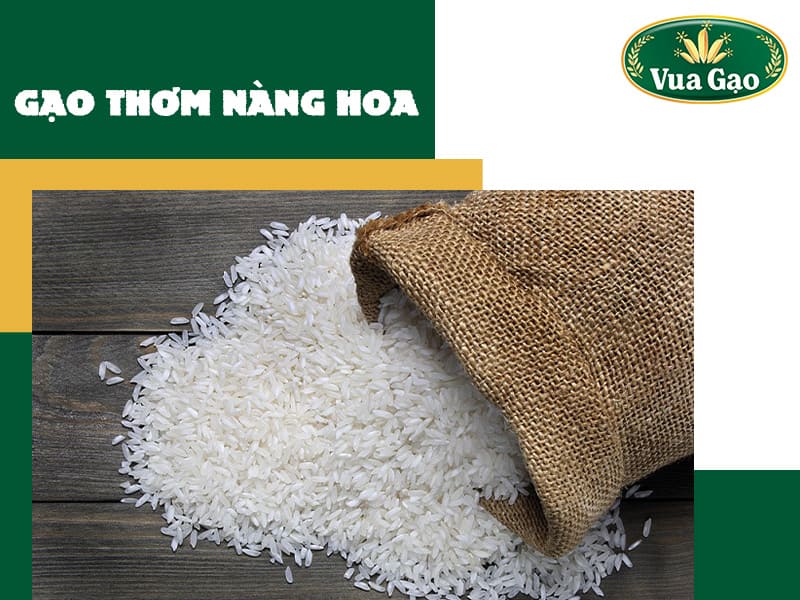 gao-thom-nang-hoa