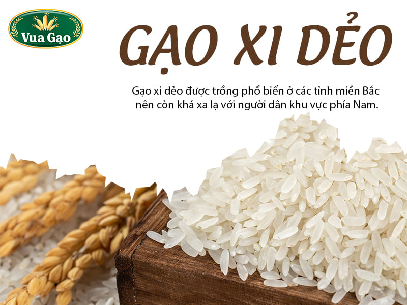 gao-xi-deo
