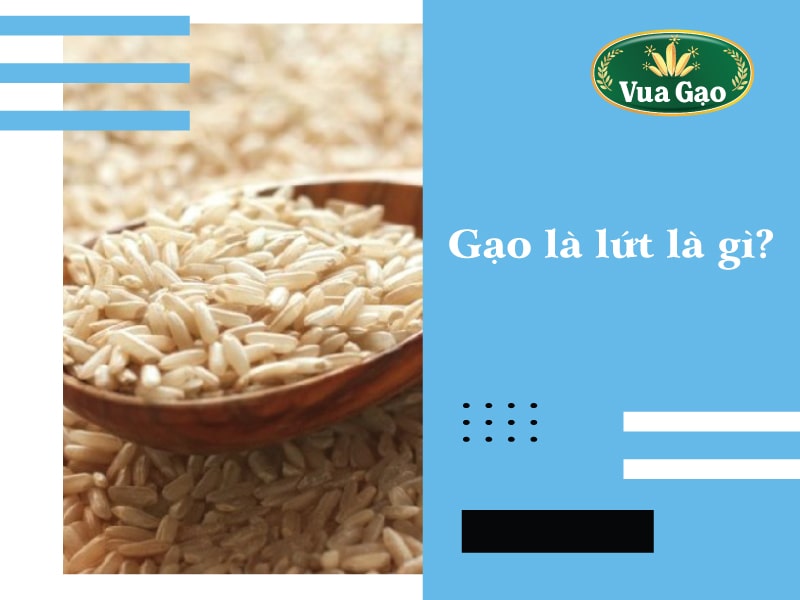 gao_lut_bao_nhieu_calo