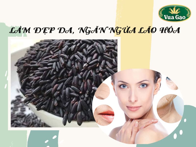ngan-ngua-lao-hoa-da