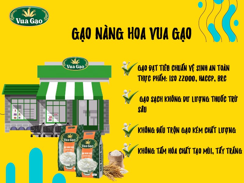 mua-gao-nang-hoa-o-dau