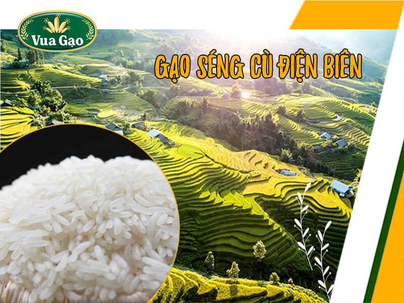gao-seng-cu-lao-cai