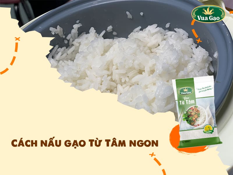 gao_tu_tam