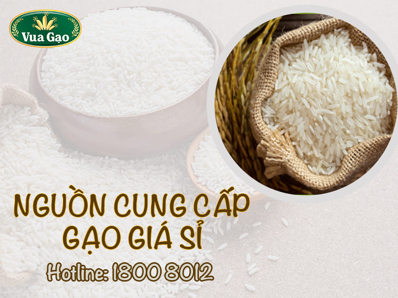 nguon-cung-cap-gao-gia-si