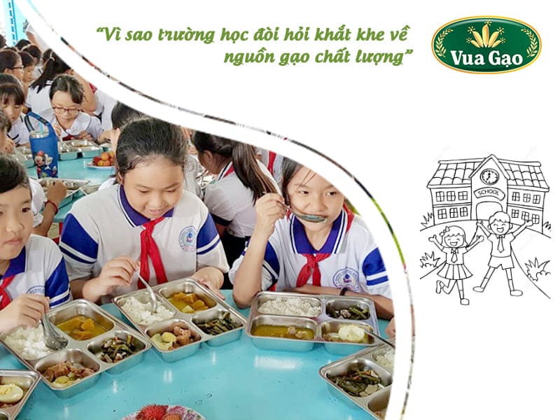 cung-cap-gao-cho-truong-hoc-can-tin
