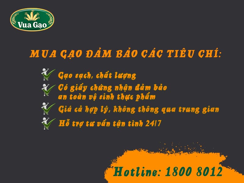 nguon-cung-cap-gao-gia-si