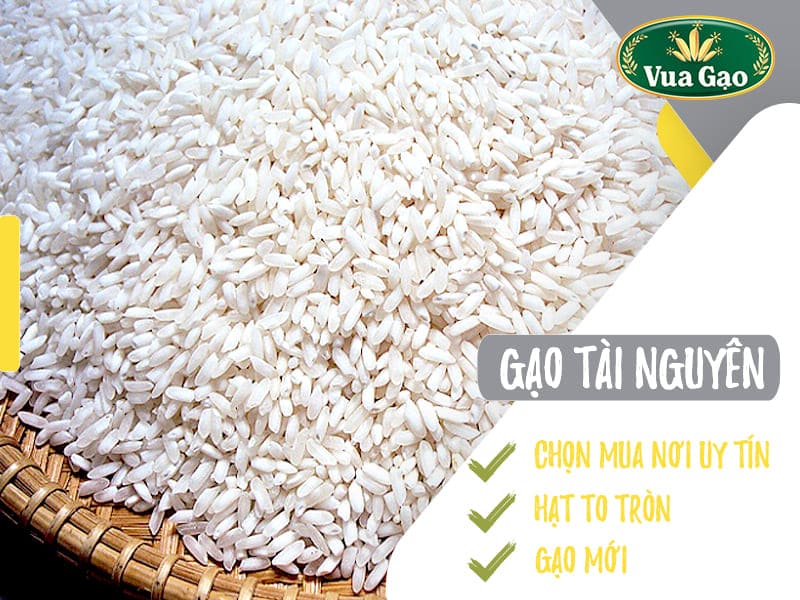 nguon-cung-cap-gao-tai-nguyen