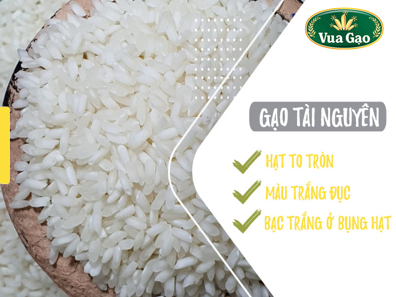 nguon-gao-tai-guyen