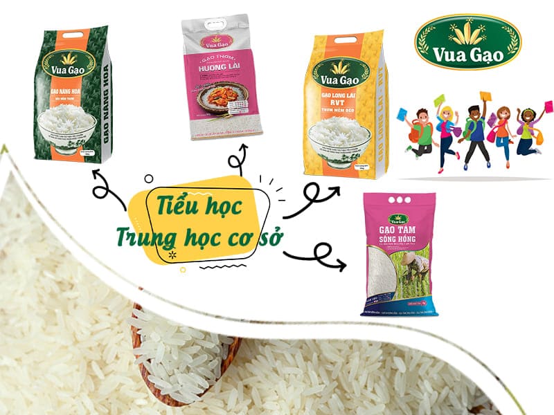 nhung-loai-gao-phu-hop-cho-truong-hoc