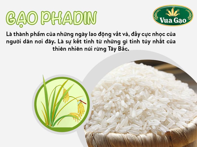 gao-phadin