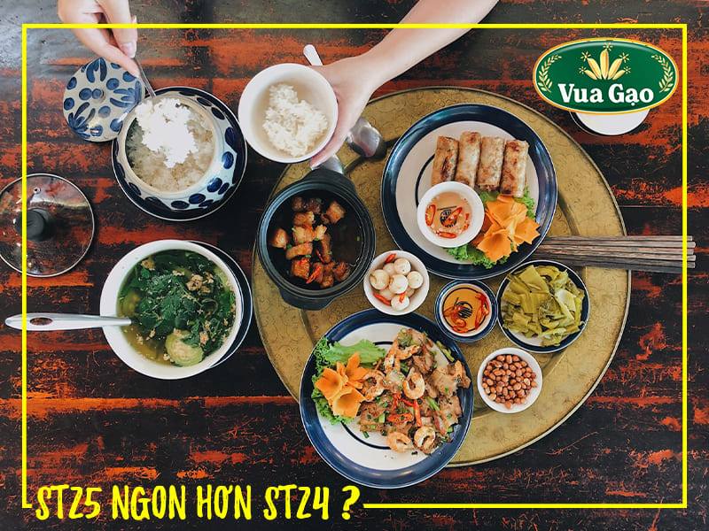 gao-st24-va-st25-gao-nao-ngon-hon