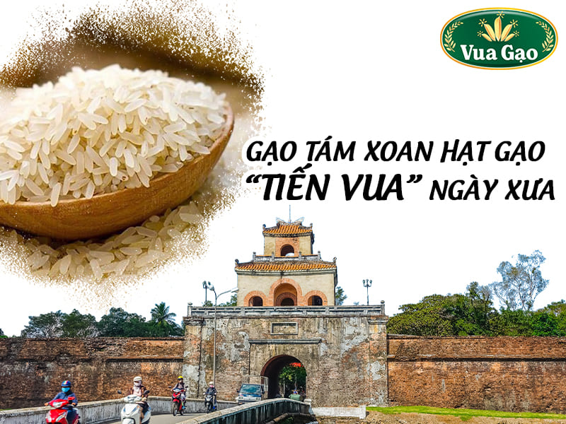 gao-tam-xoan