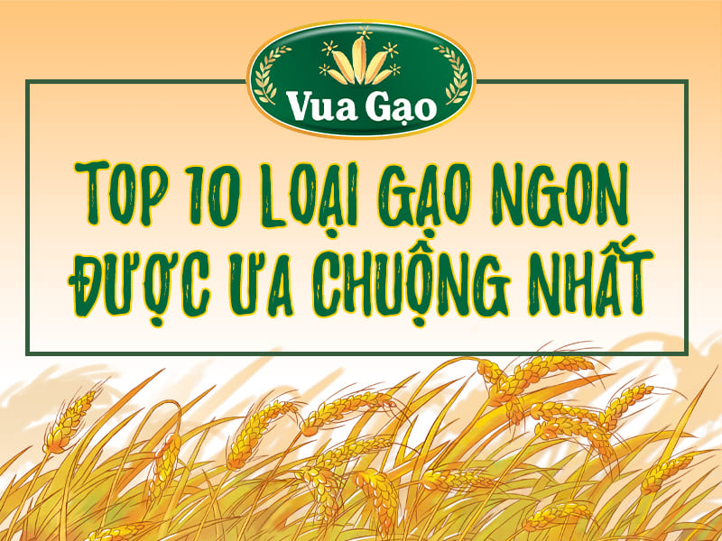 top-10-loai-gao-ngon